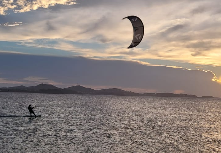 Duotone Kite Trainer Kite Lizard grey 2021 